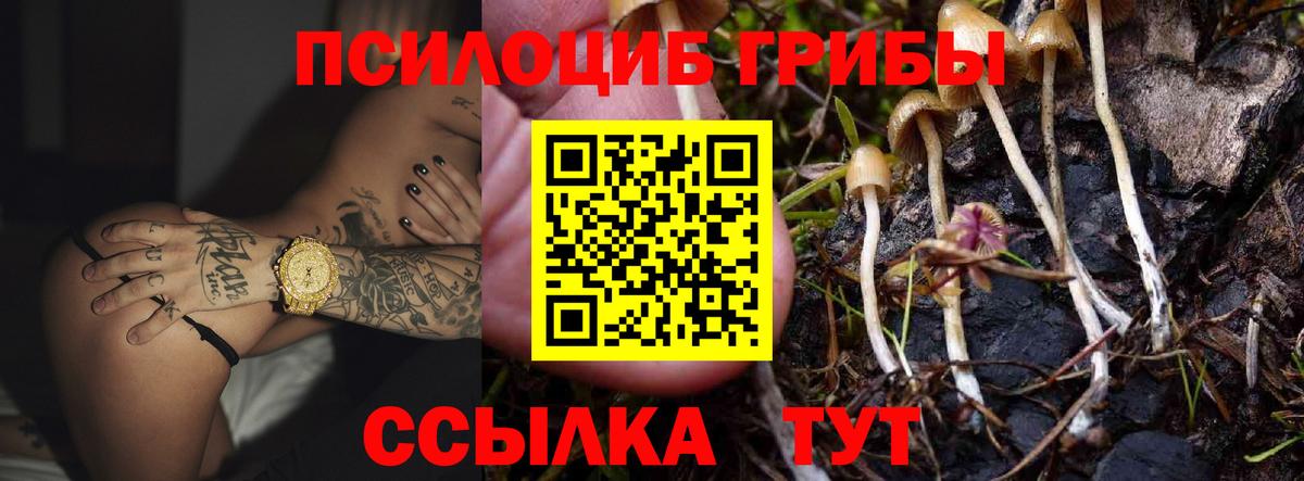 Псилоцибиновые грибы мицелий  Псилоцибиновые грибы Psilocybine cubensis  Обнинск  Вход с VPN 