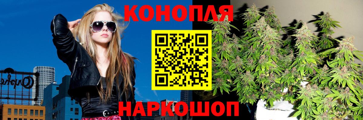 Конопля White Widow Обнинск